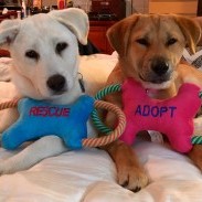 Jax and Gigi
