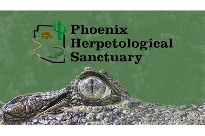 Largest reptile sanctuary in the US!