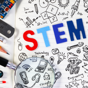STEM Workshop