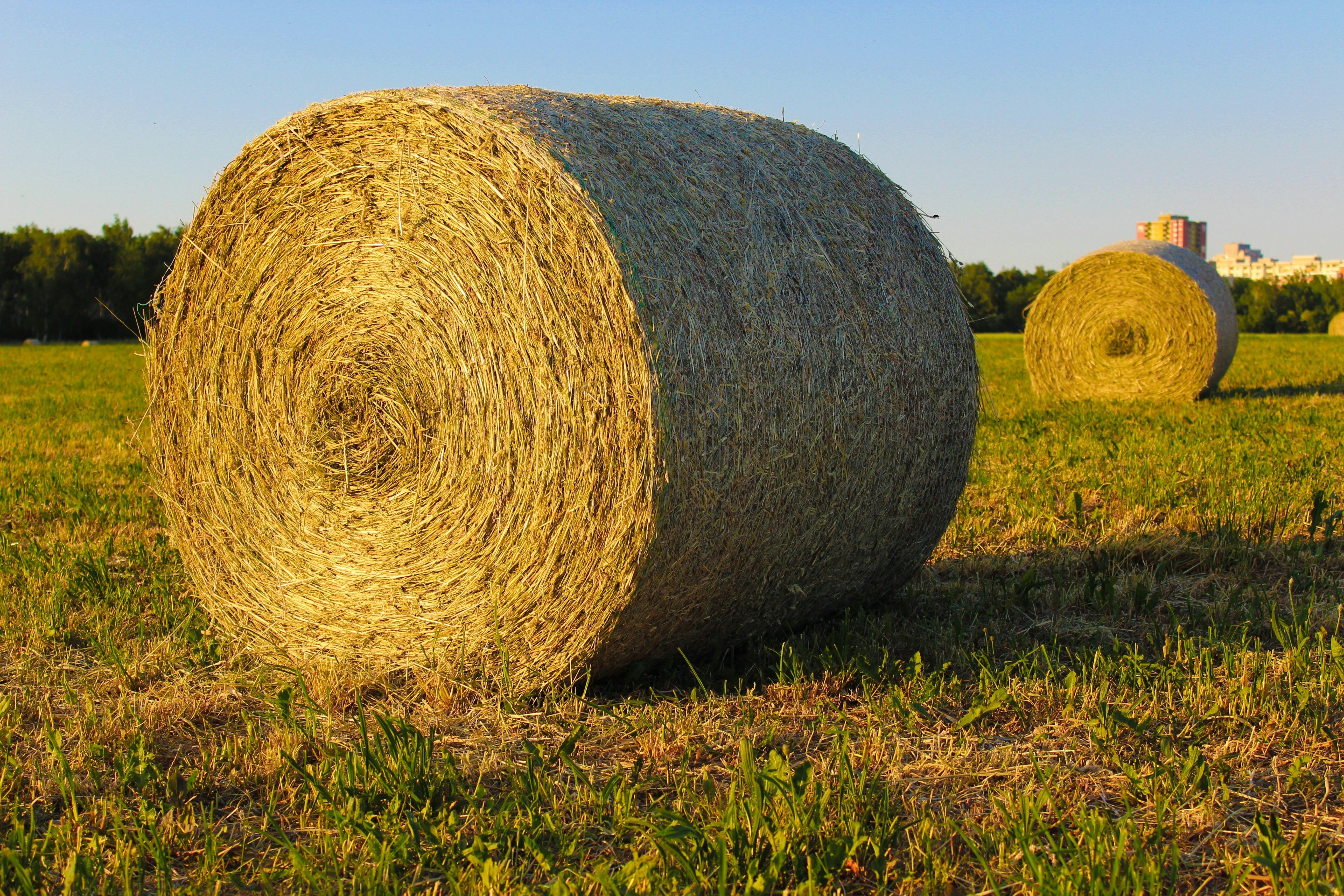 Hay Exchange