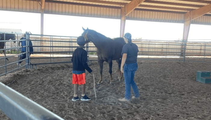 Horse and Humans Benefit by Equine Therapy