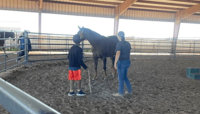 Fajita, Nexus Equine's donkey, provides a therapy session.