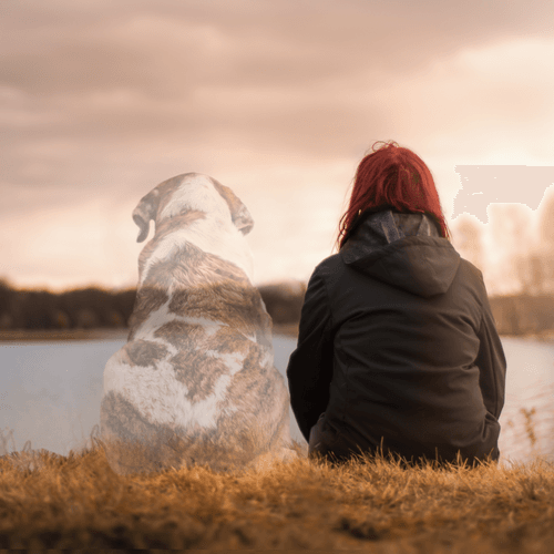 Spirit of a dog sitting with its owner