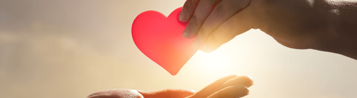 Your Gift Transforms Lives