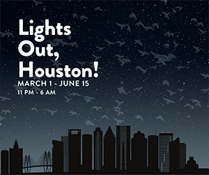 Lights Out, Houston