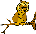 Qwl drawing