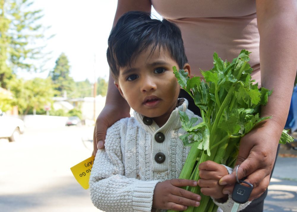 Young boy with his mother holding a stalk of celery
