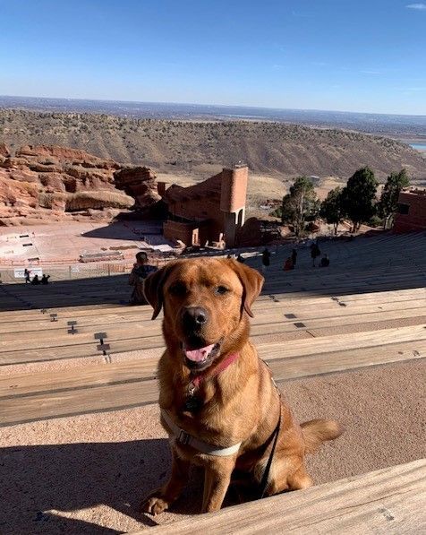 Umber's foster weekend included a tour of Red Rocks