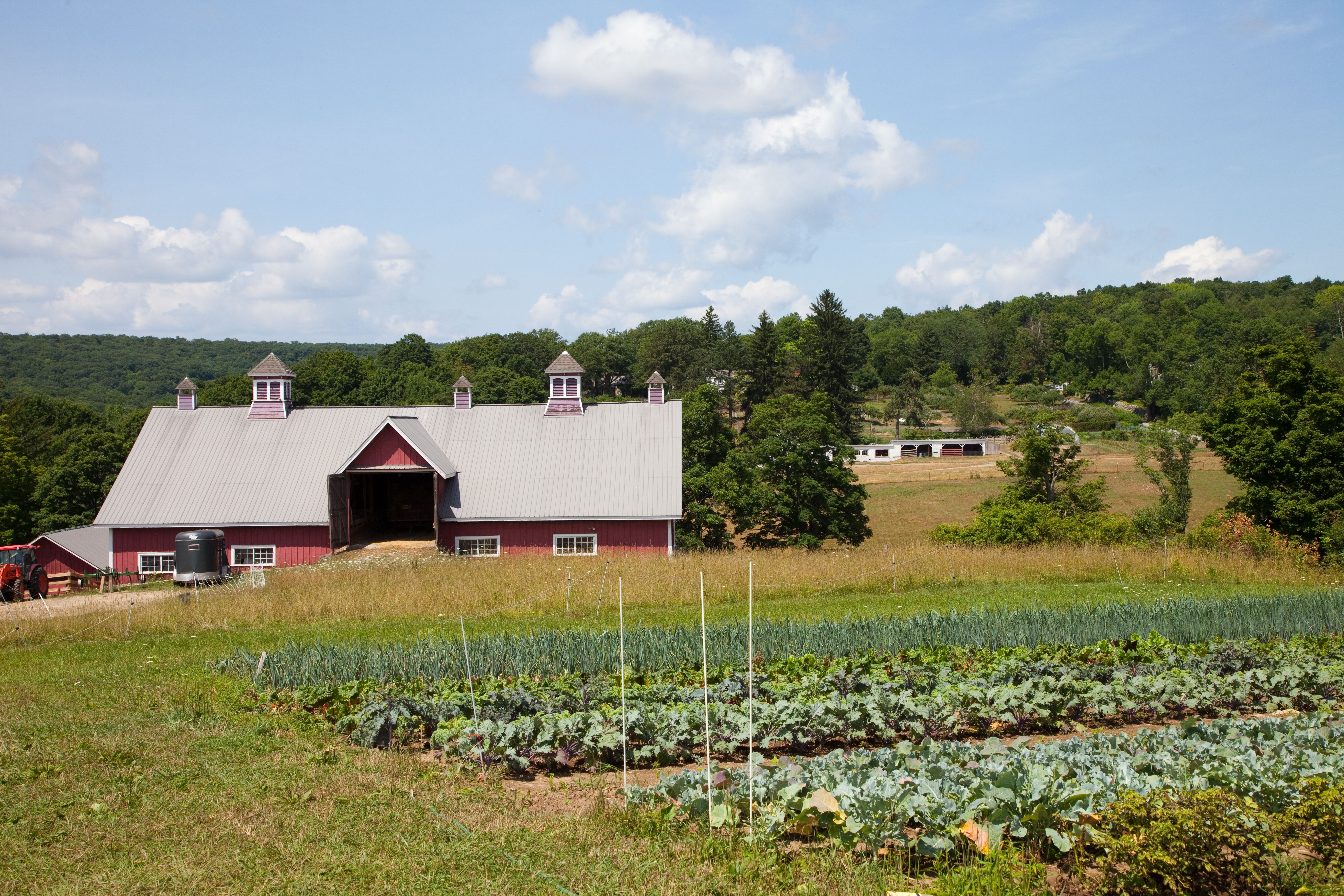 Partner Spotlight: The Hudson Valley Farmlink Network