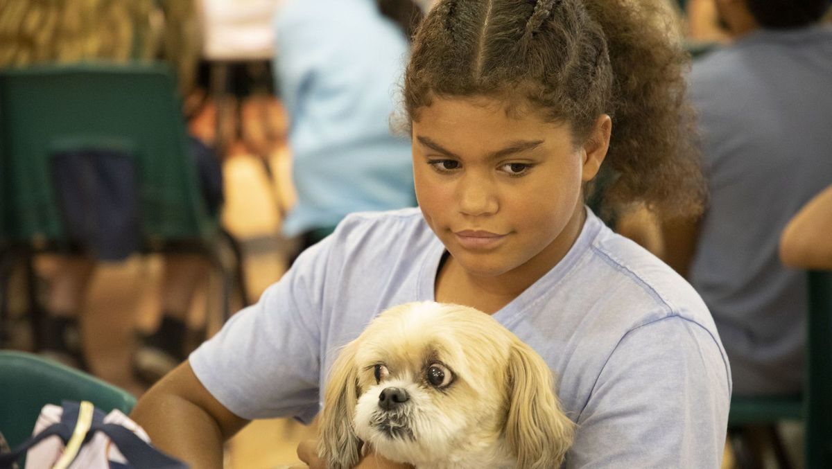 a student holding a therapy dog