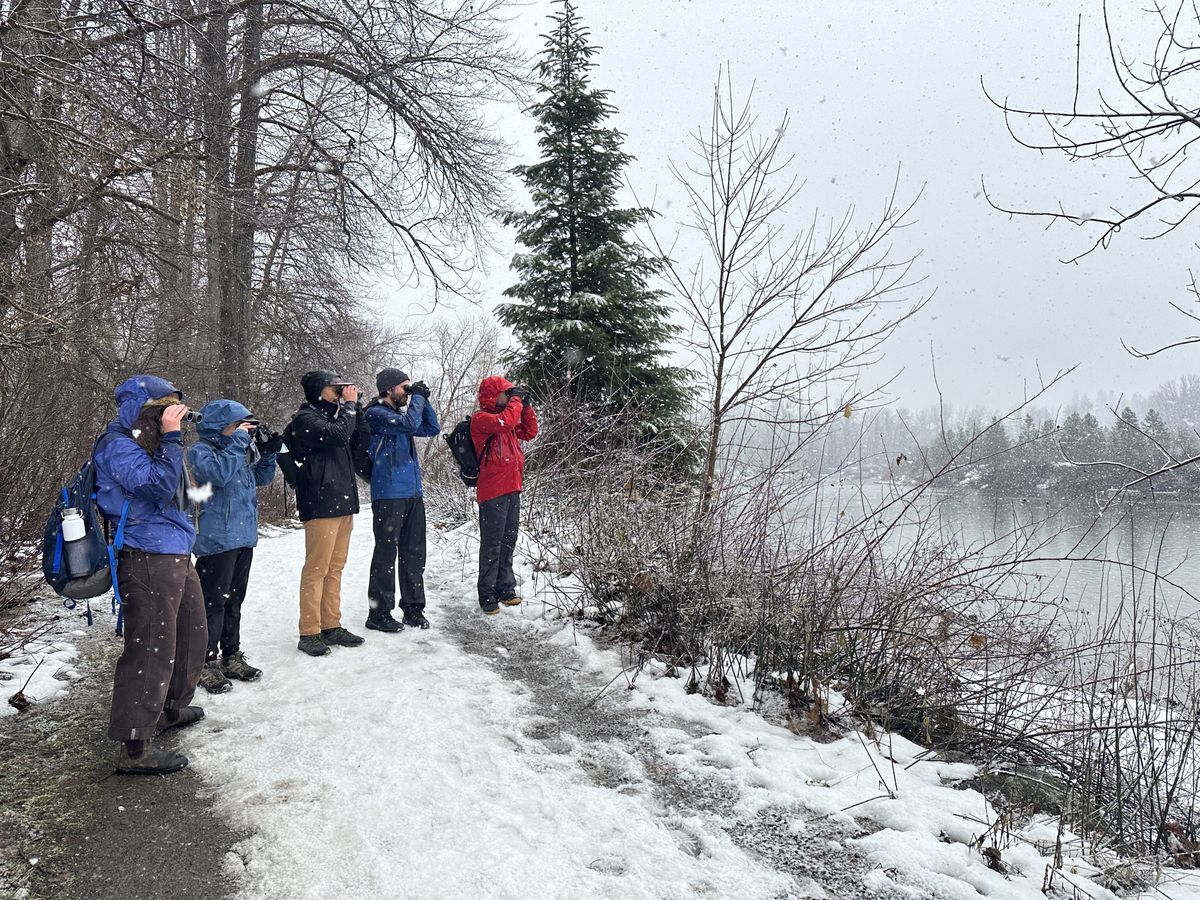 Group of snowshoers walking on a snow-covered path at WRI in the woods.