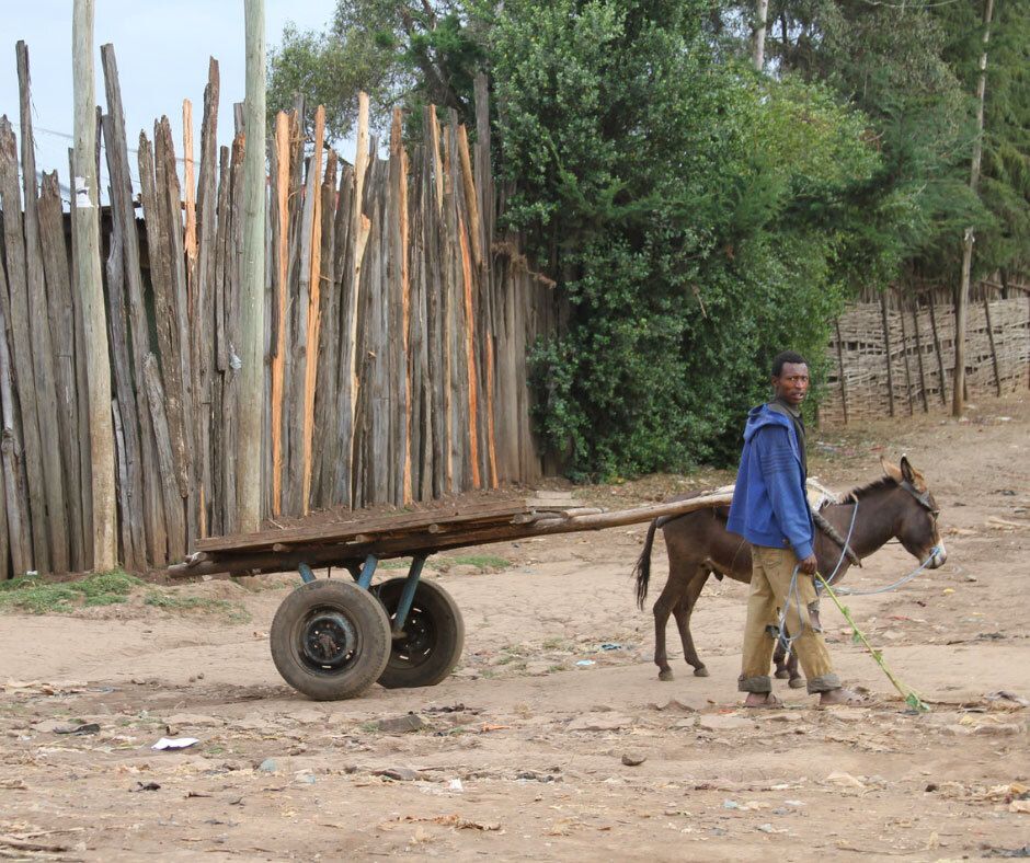 Man with a donkey and cart