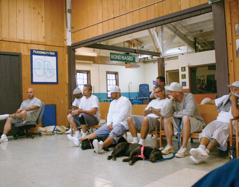 Segregation in U.S. Prisons