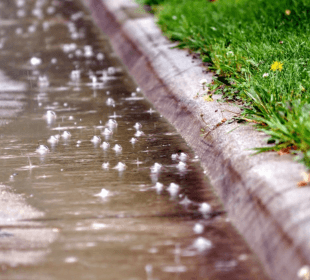 Only Rain Down the Storm Drain »