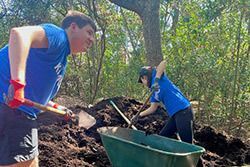 ELMNS Sanctuary Workdays