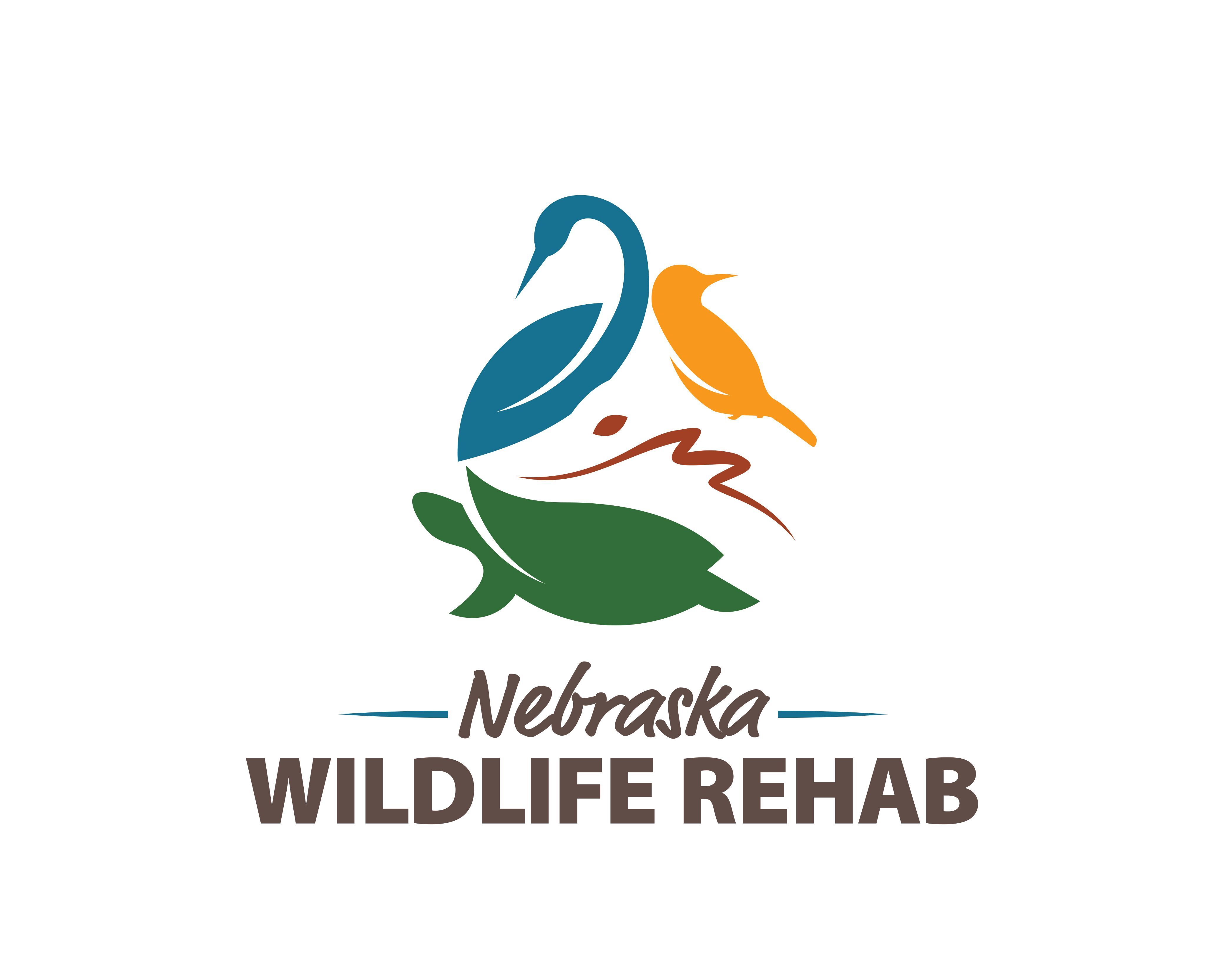 Nebraska Wildlife Rehab