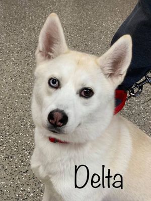 DELTA