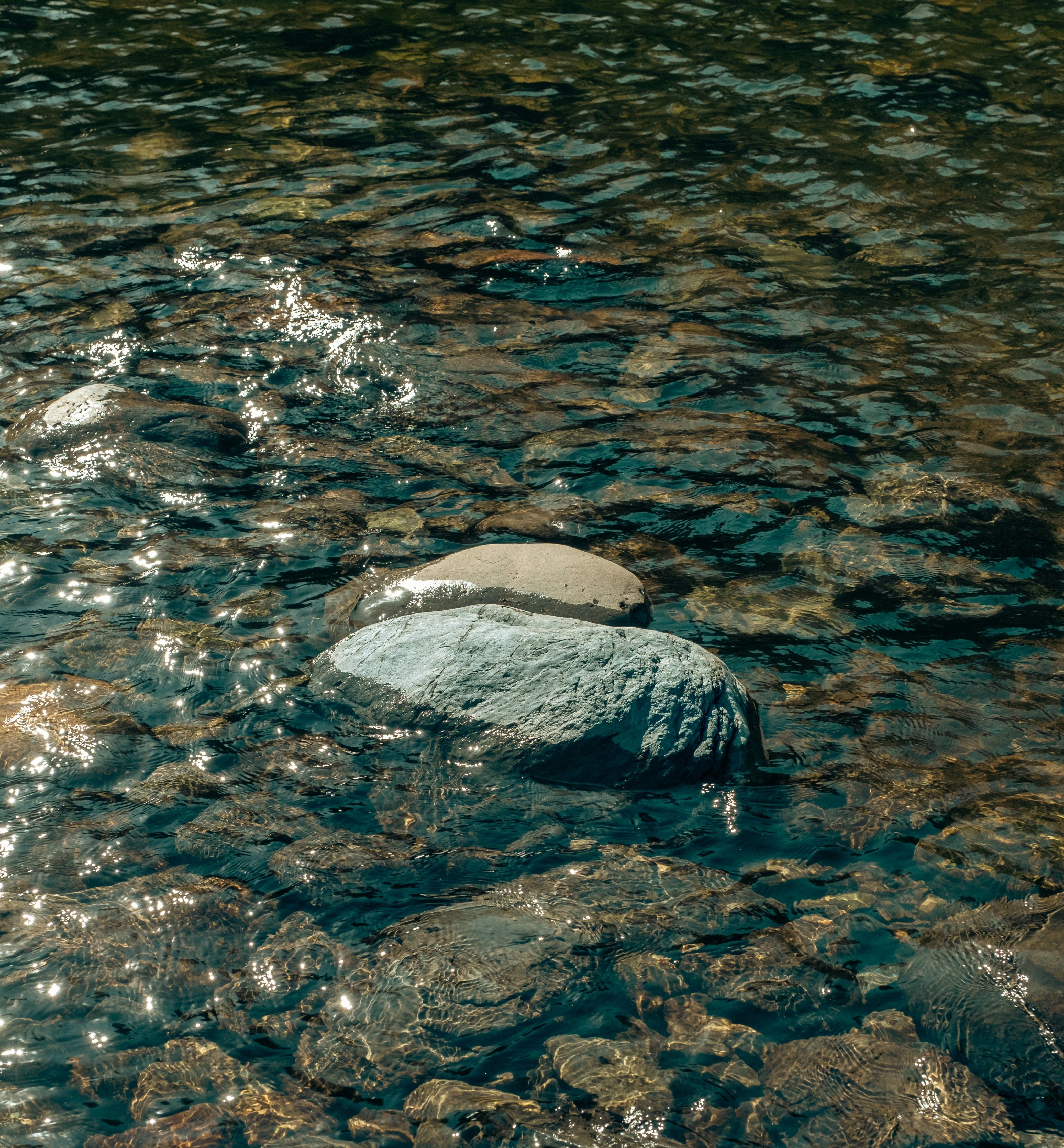 NEd Talk, Nature Education Talk ,Guadalupe Freshwater Mussels: An Indicator of a Healthy Habitat, Aquatic Biologist, San Antonio River, Nature Lover, Sara Thompson, Riverside Nature Center, things to do in kerrville, nature tips