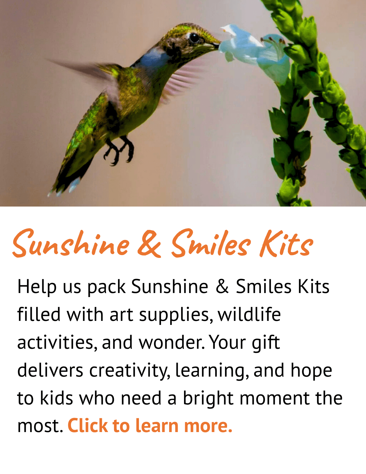 Sunshine & Smiles Kit