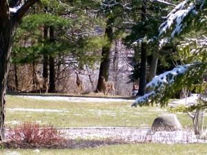 Daily Prayer November 27