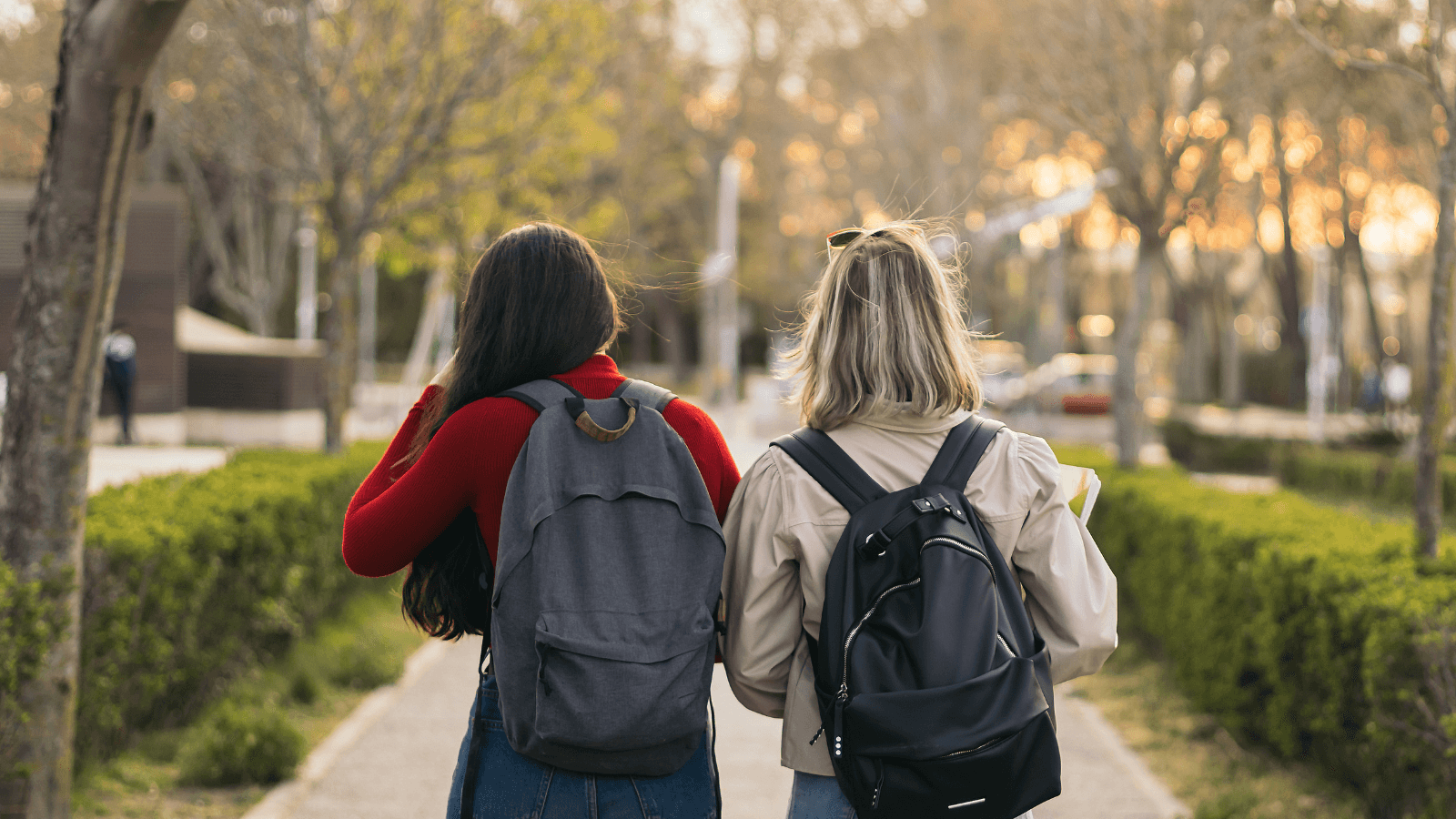 Apply to be a YECA College Fellow