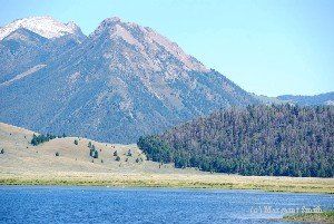 Red Rock Lakes National Wildlife Refuge was established in 1935 to protect trumpeter swns