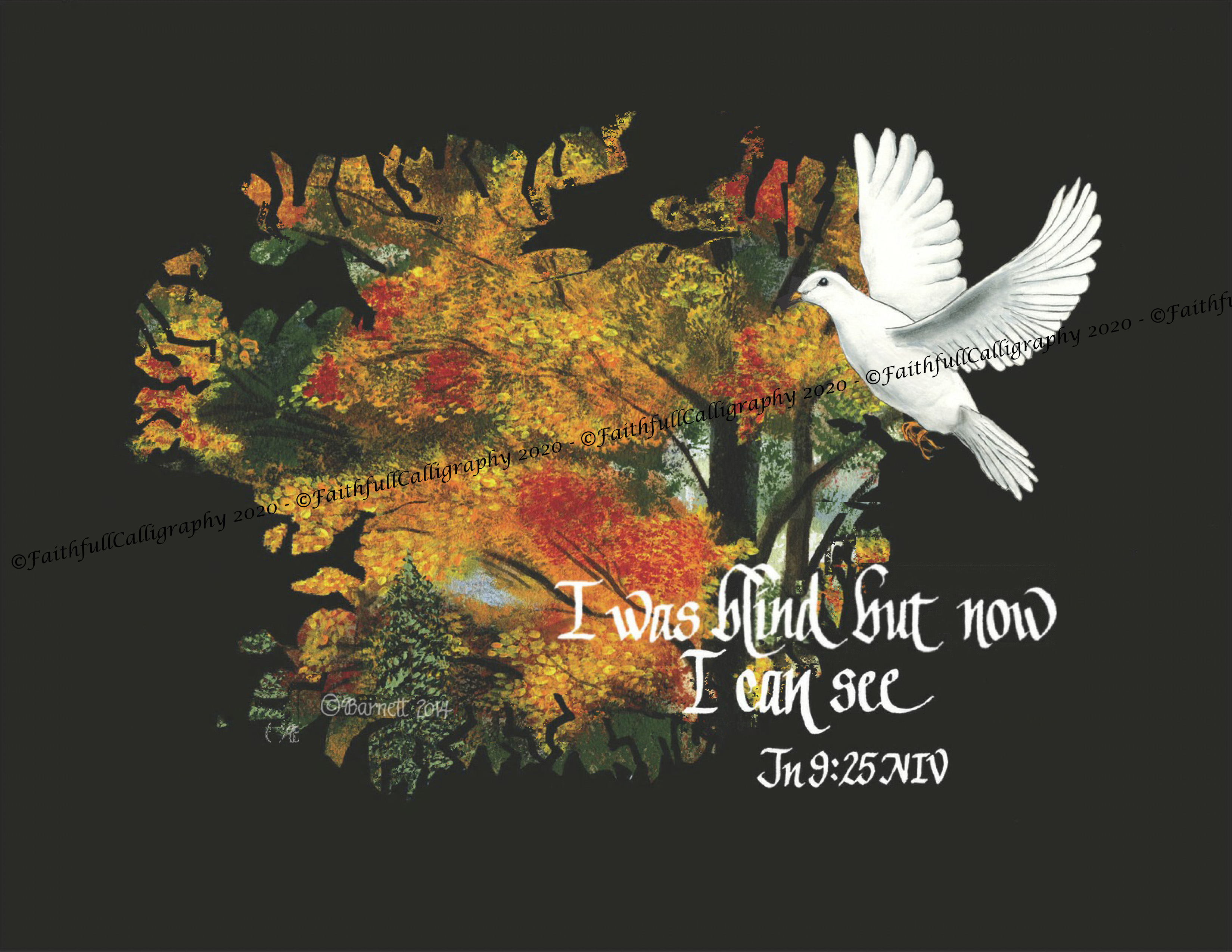 BLIND SEE (John, Encouragement, Faithwalk)