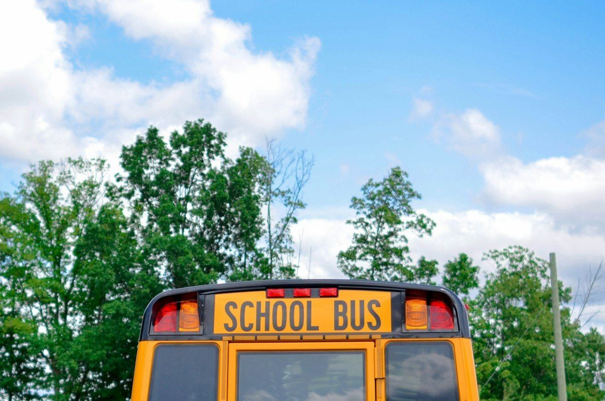 School bus with trees above
