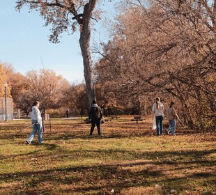 Litter Assessment Project »