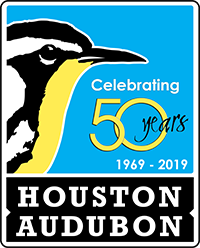 New 50th Anniversary Logo