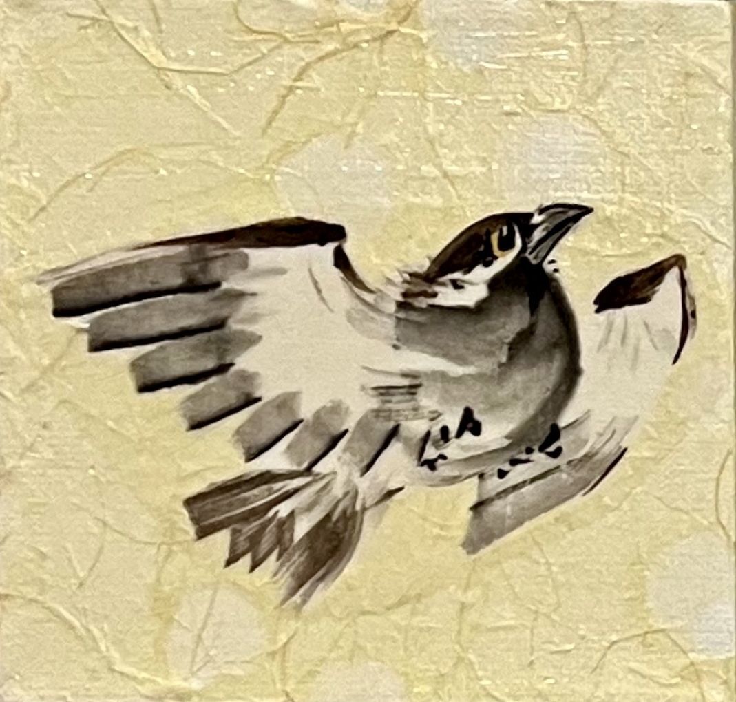 House Sparrow VI