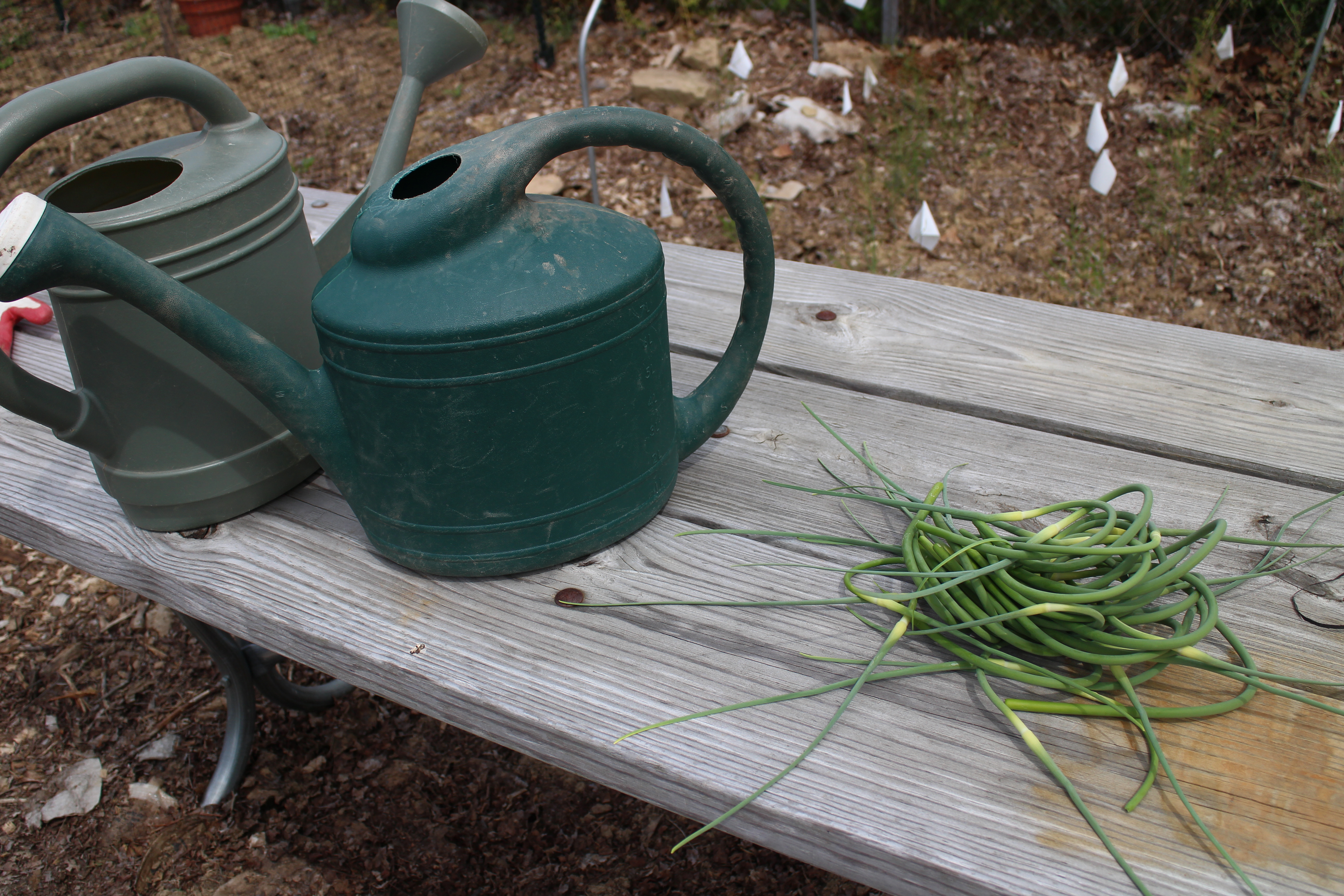 Watering Cans image