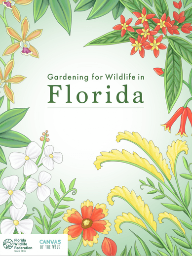 Gardening for Wildlife in Florida
