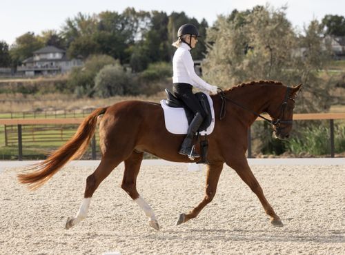 Victoria Coelho and De Silva (ID)