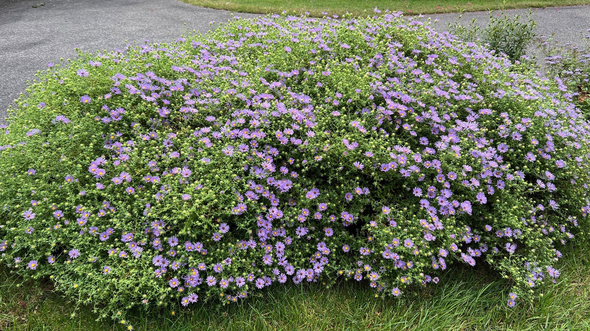 Noble Garden Tour