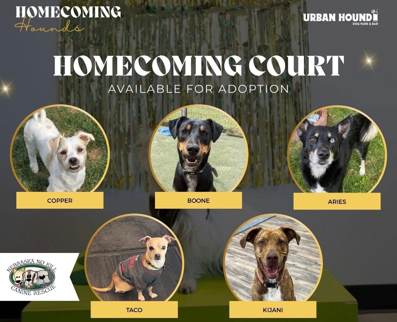 Homecoming Court even poster with available dogs featured.