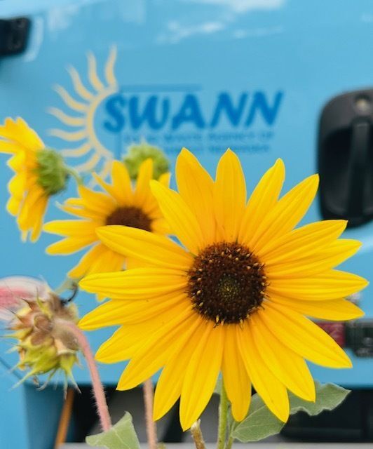 SWANN Environmental Excellence