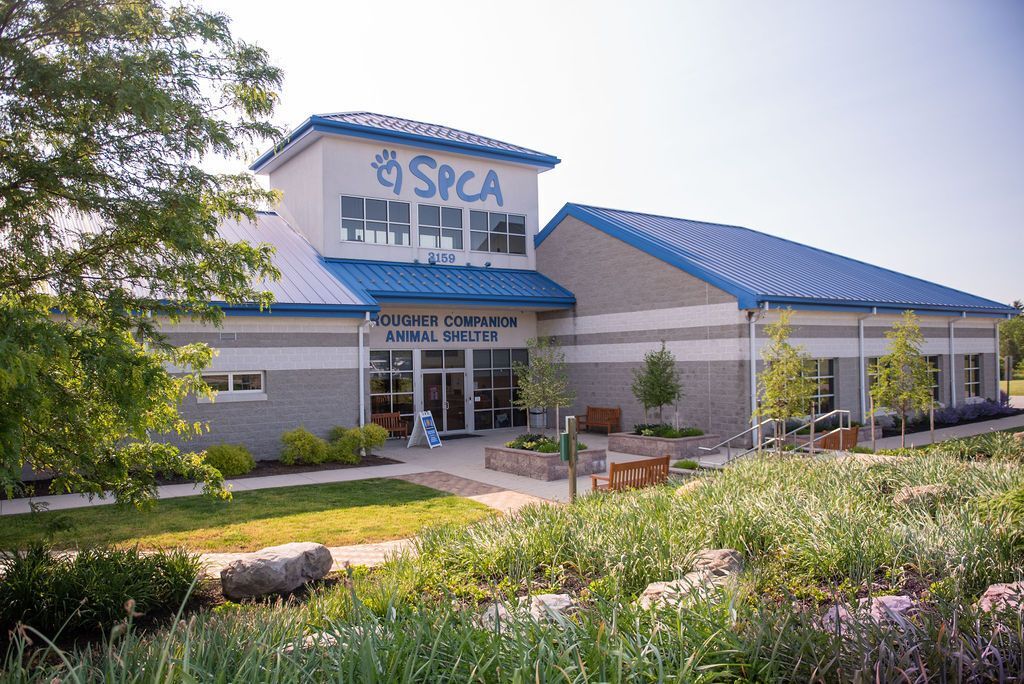 Photo of York County SPCA building exterior 