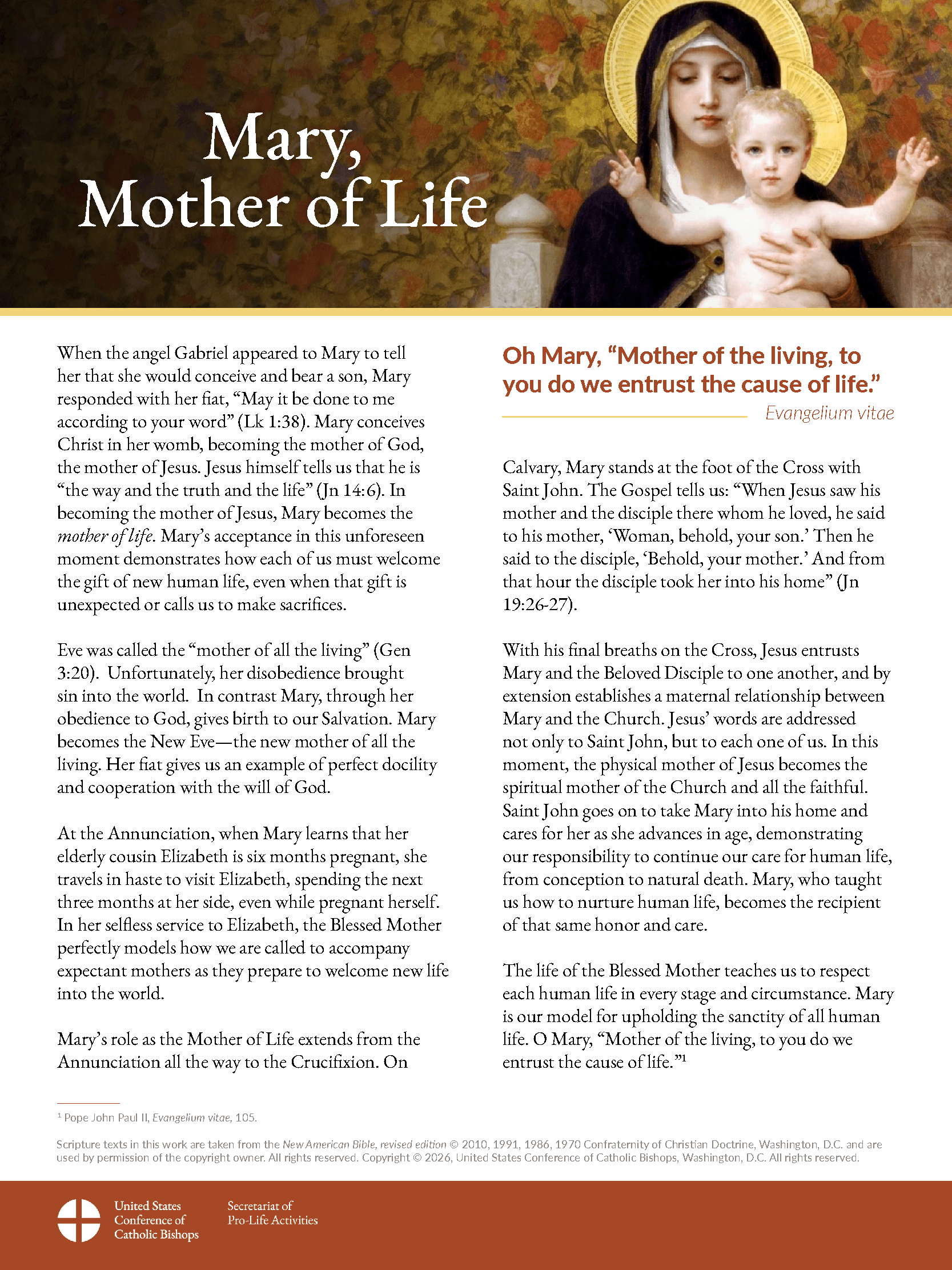 Respect Life Reflection