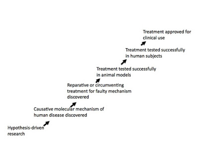 Image of disease treatment pathway: Hypothesis-driven research>Causative molecular mechanism of human disease discovered>Reparative or circumventing treatment for faulty mechanism discovered>Treatment tested successfully in animal models>Treatment tested