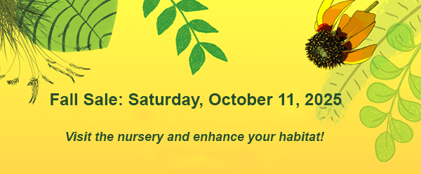 Natives Nursery Fall Sale