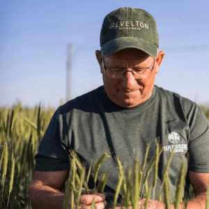 2024 Harvest Report with Ray Gaesser