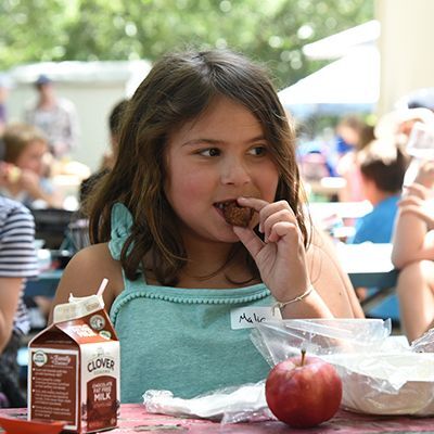 Young girl eating lunch