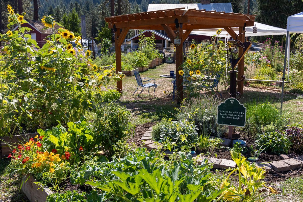 The beautiful summer foliage in the Community Garden with the shade structure in the background.