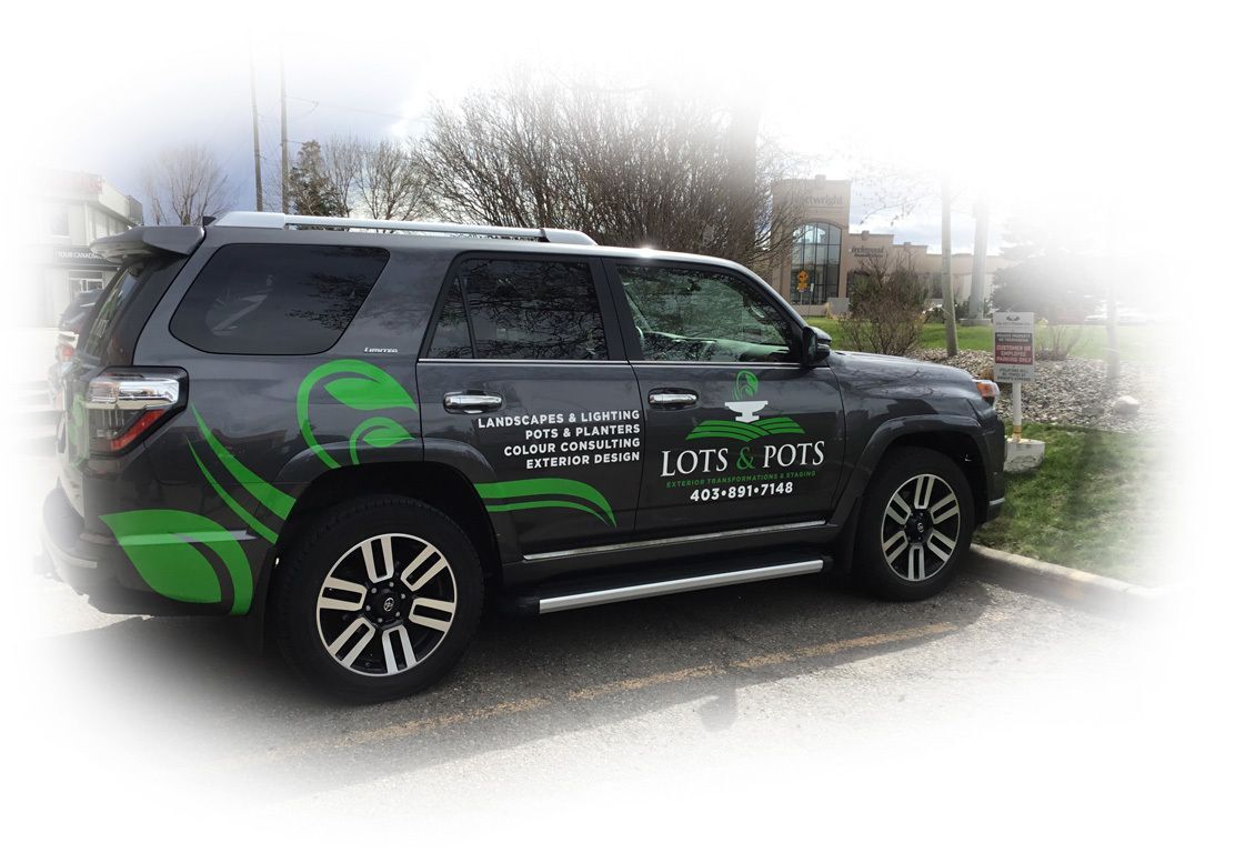 Vehicle Wrap