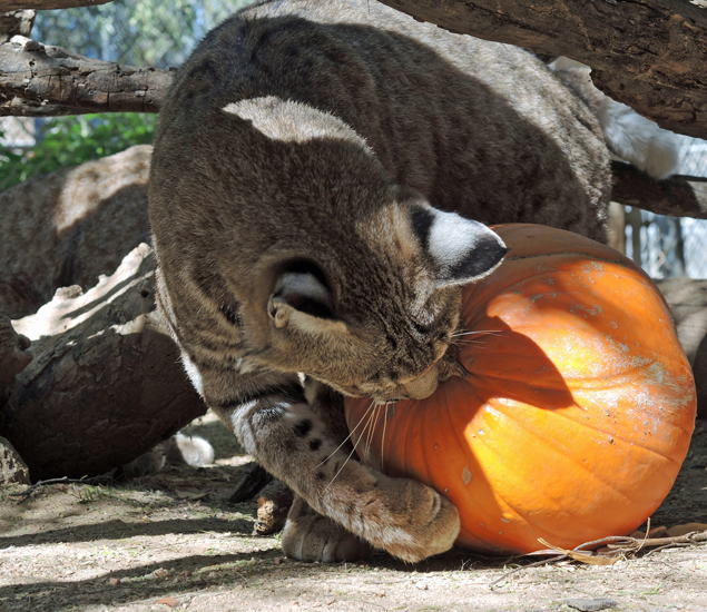 Our Fall schedule is now in full swing!