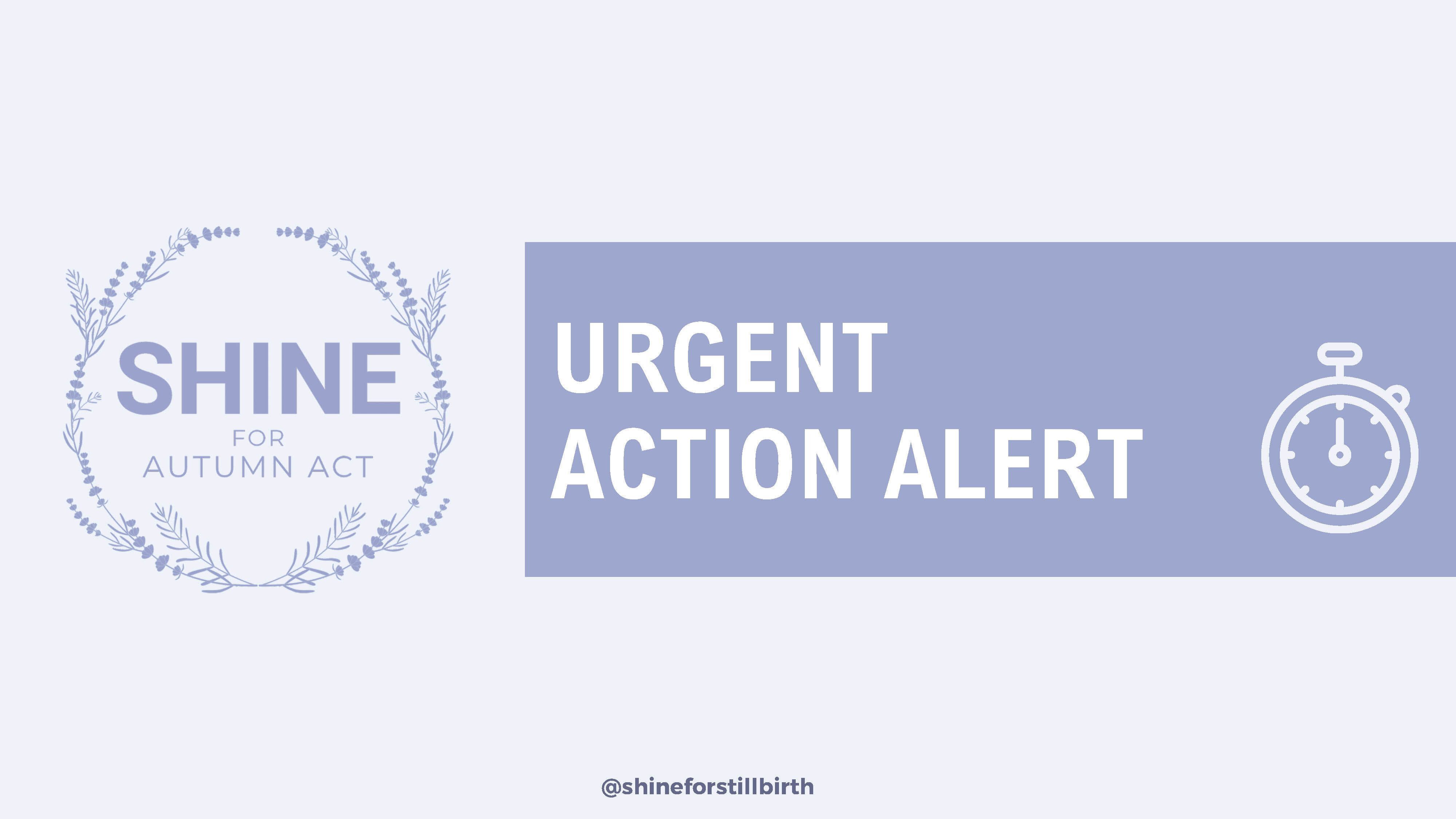 Urgent Action Alert: Support the SHINE Act in the House