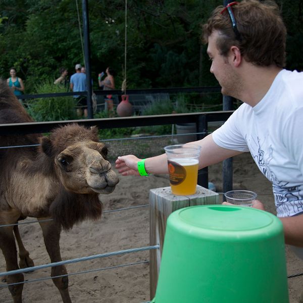 Brews at the Zoo