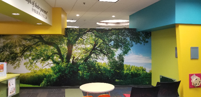 Wall Murals for Libraries in Chandler AZ