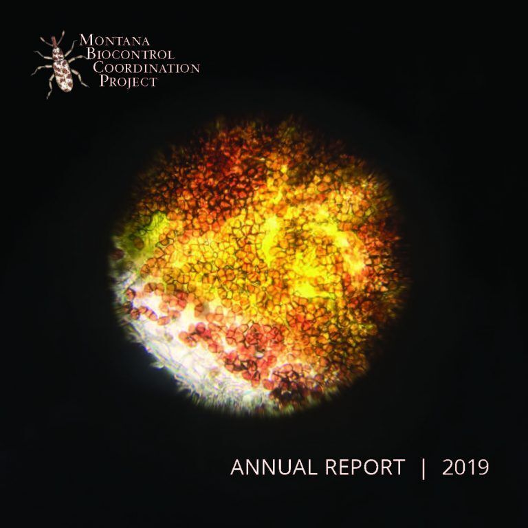 2019 Annual Report